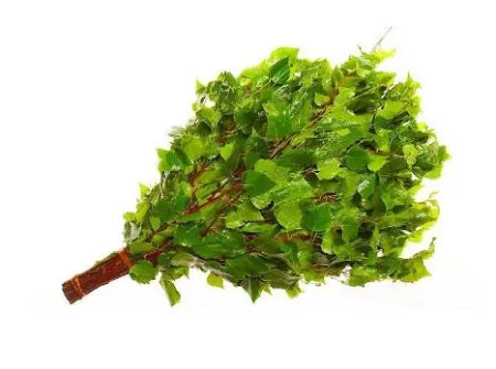 веник дуб, woodson